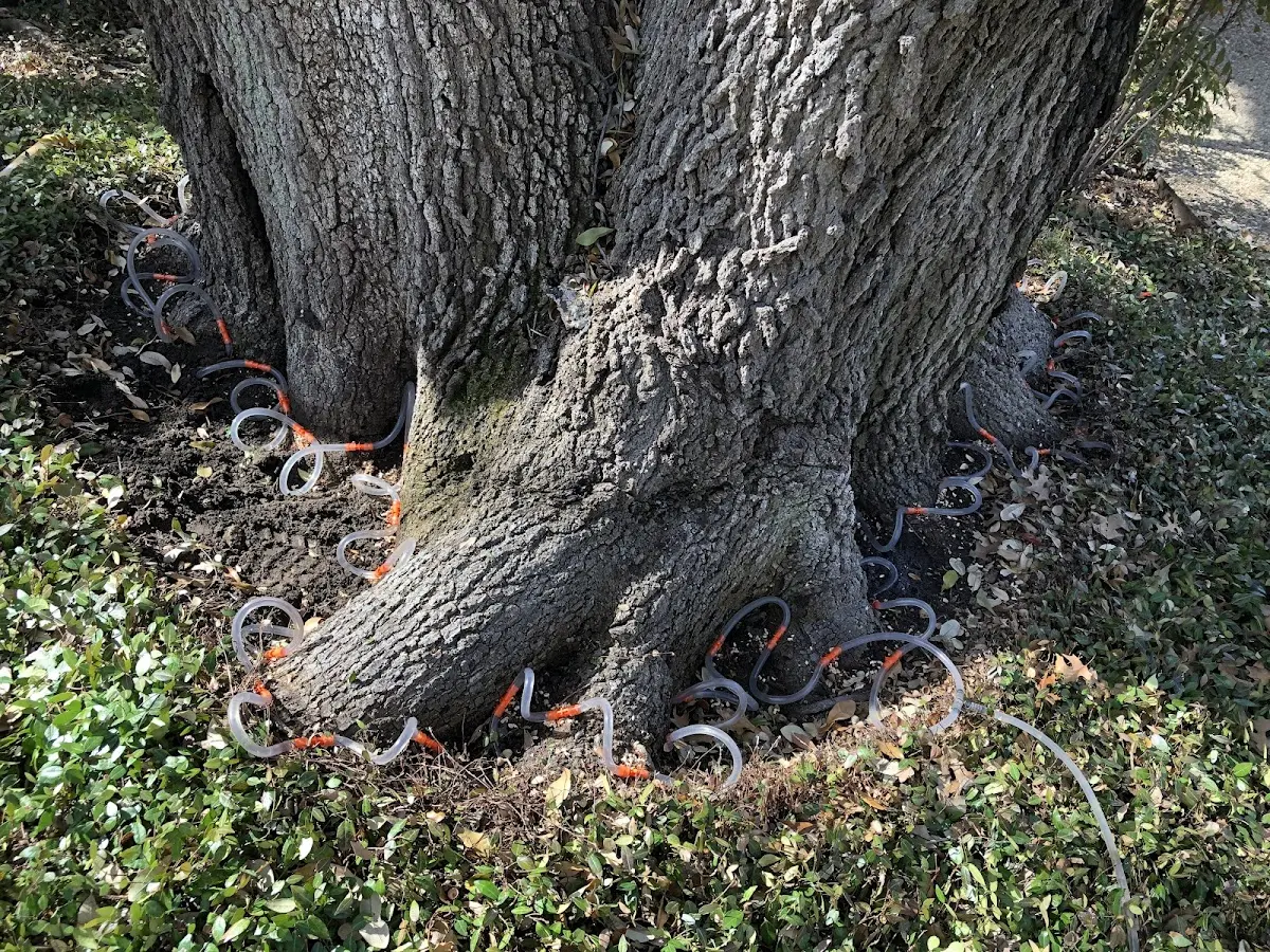 Detailed Shrub and Hedge Trimming job site in Rockport