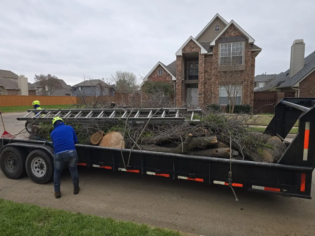 Expert Tree Fertilization with proper safety equipment in Rockport